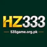 HZ333
